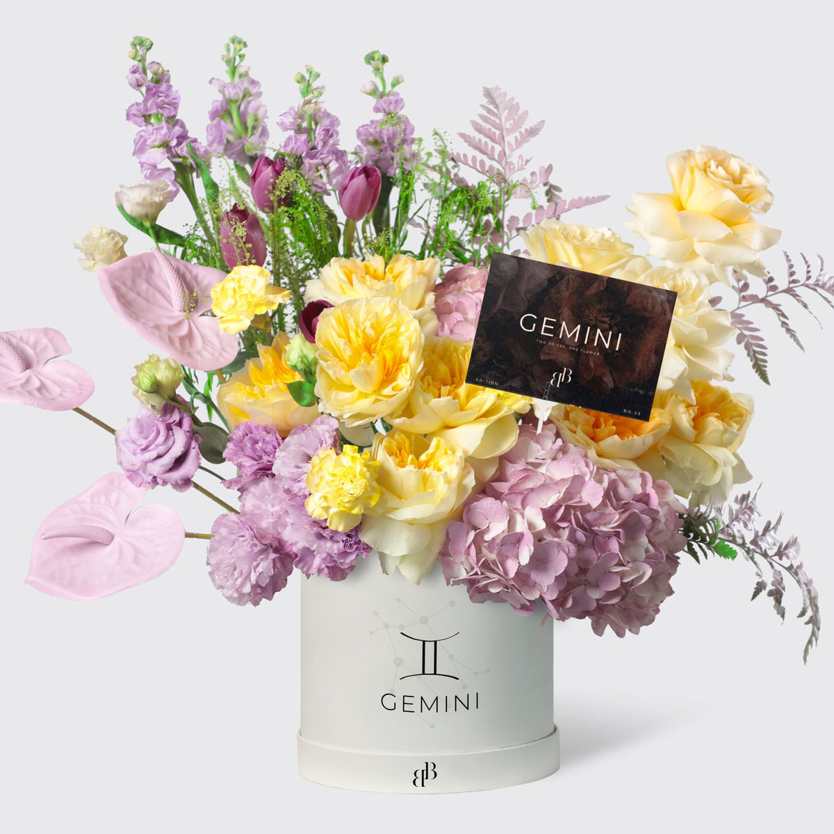 Gemini - The Twin in Box - BLACK AND BLANC