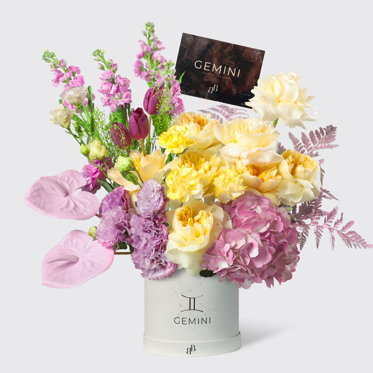 Gemini - The Twin in Box - BLACK AND BLANC