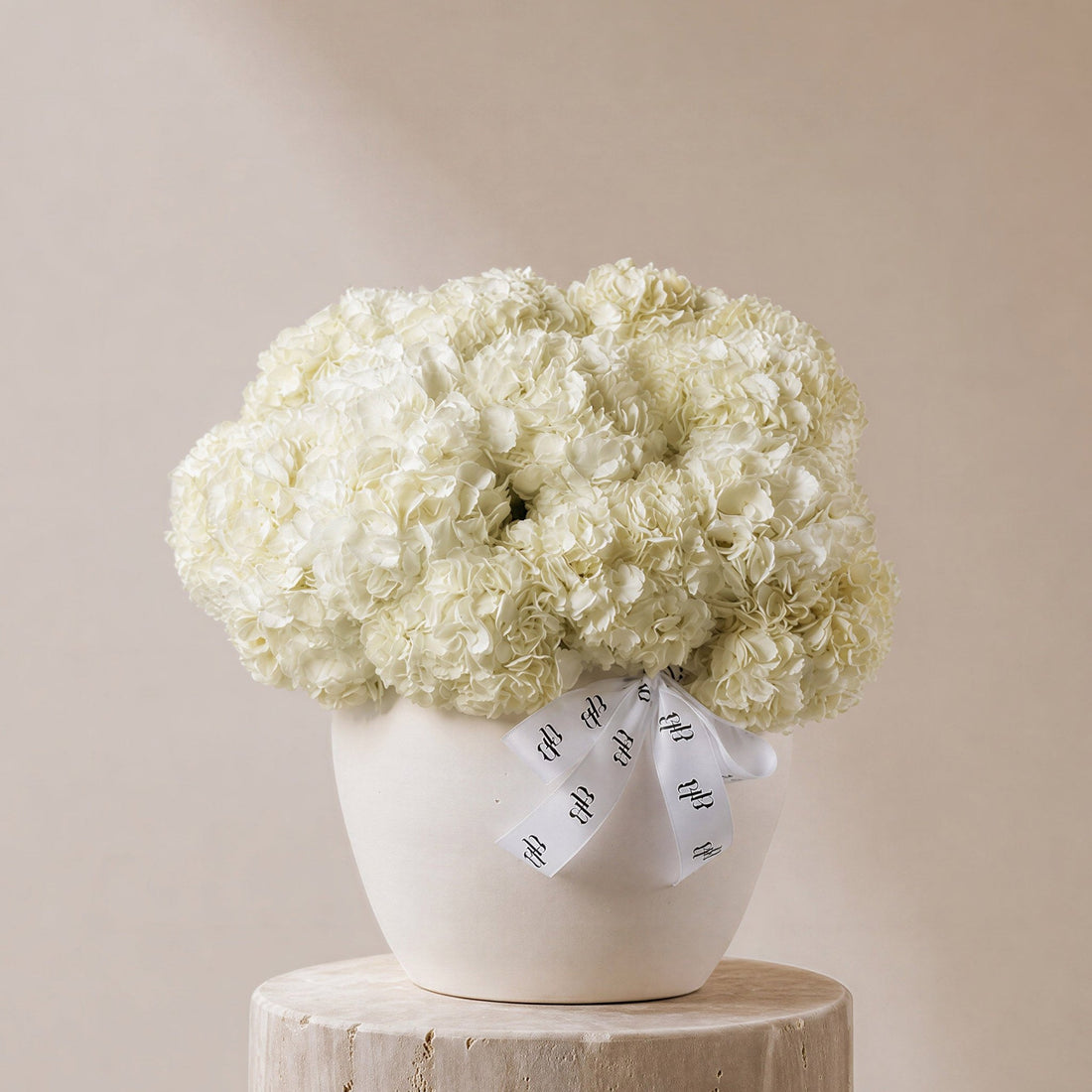 Ghaim White Hydrangea in Ivory Vase - BLACK AND BLANC