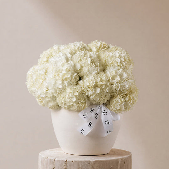 Ghaim White Hydrangea in Ivory Vase - BLACK AND BLANC
