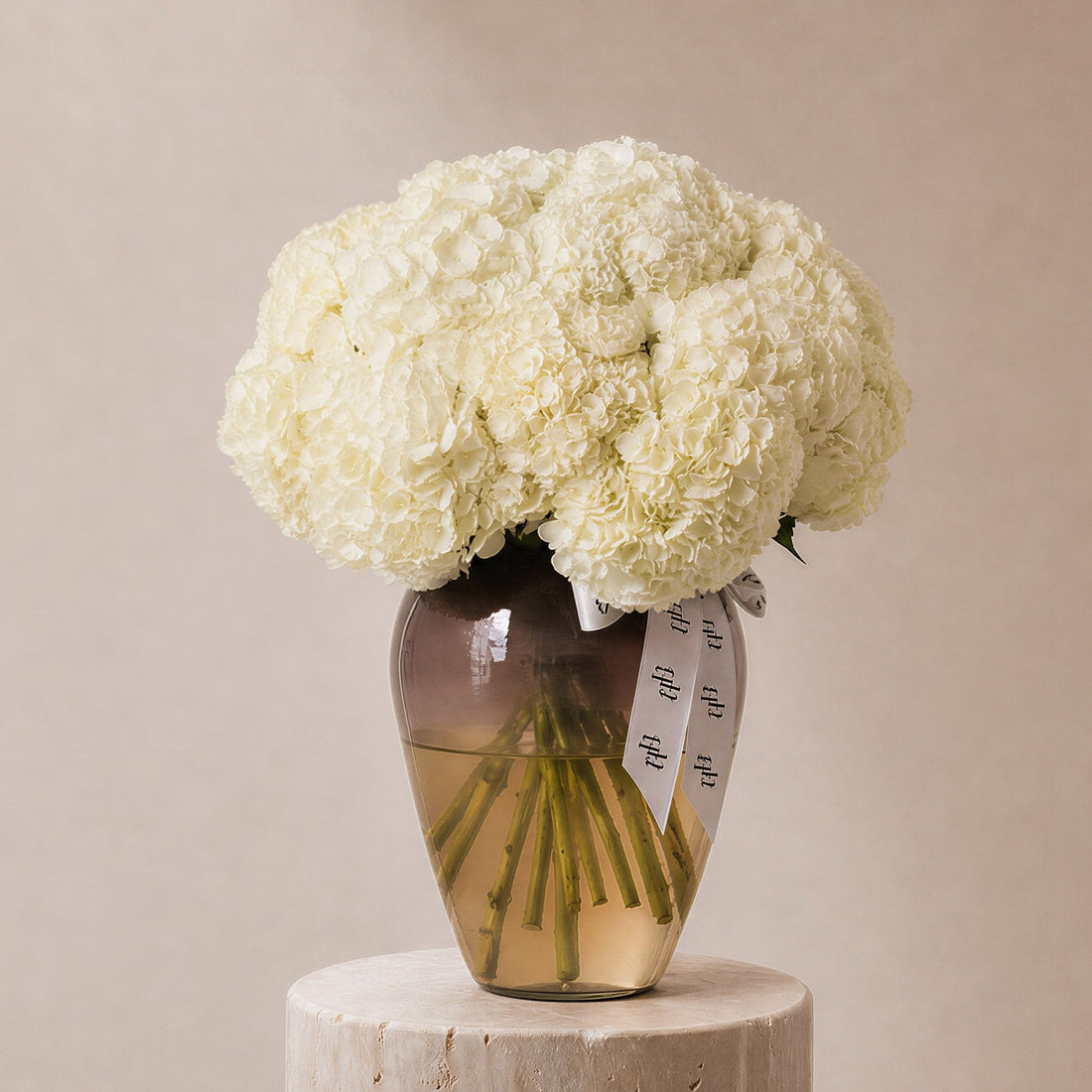Ghaim White Hydrangea in Lumiere vase - BLACK AND BLANC