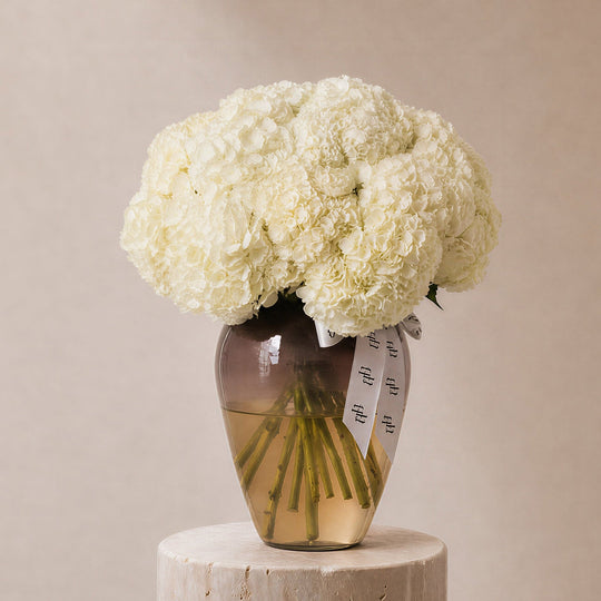 Ghaim White Hydrangea in Lumiere vase - BLACK AND BLANC