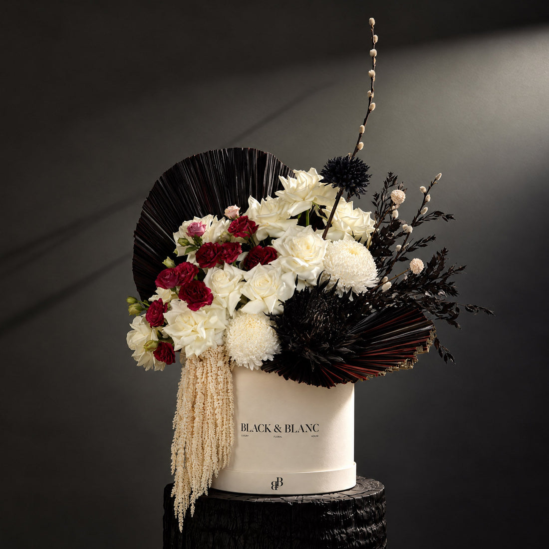 Gilded Dark in Box - BLACK & BLANC