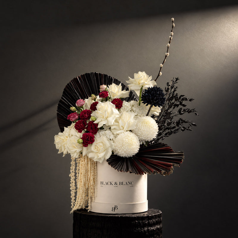 Gilded Dark in Box - BLACK & BLANC