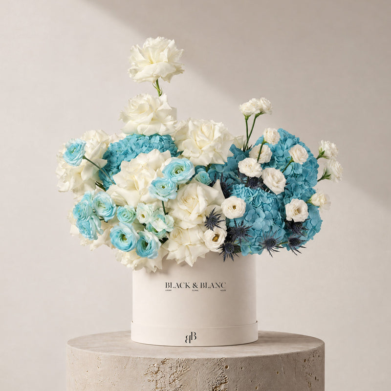 Givre in Box - BLACK AND BLANC