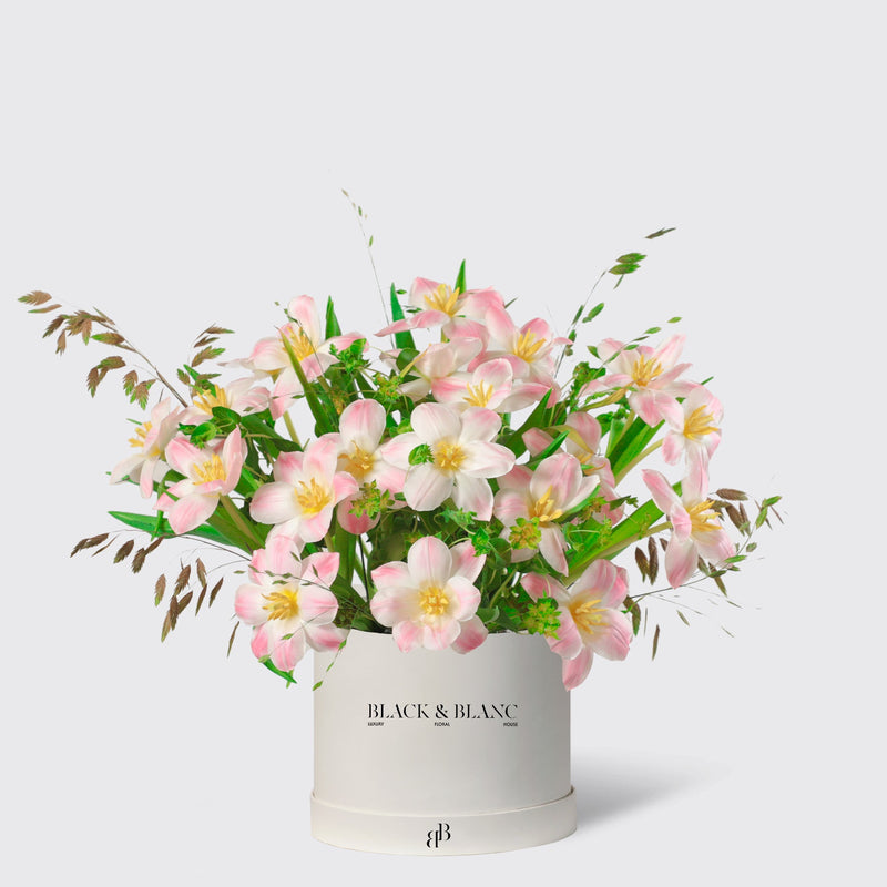 Glowing Pink Tulips in Box - BLACK AND BLANC