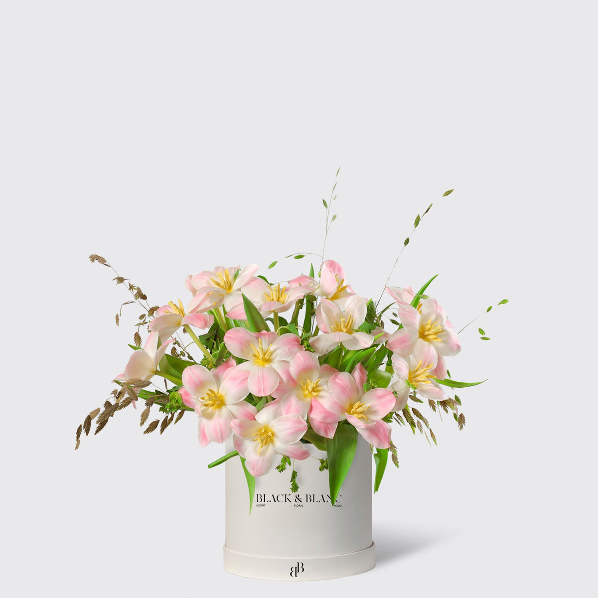 Glowing Pink Tulips in Box - BLACK AND BLANC