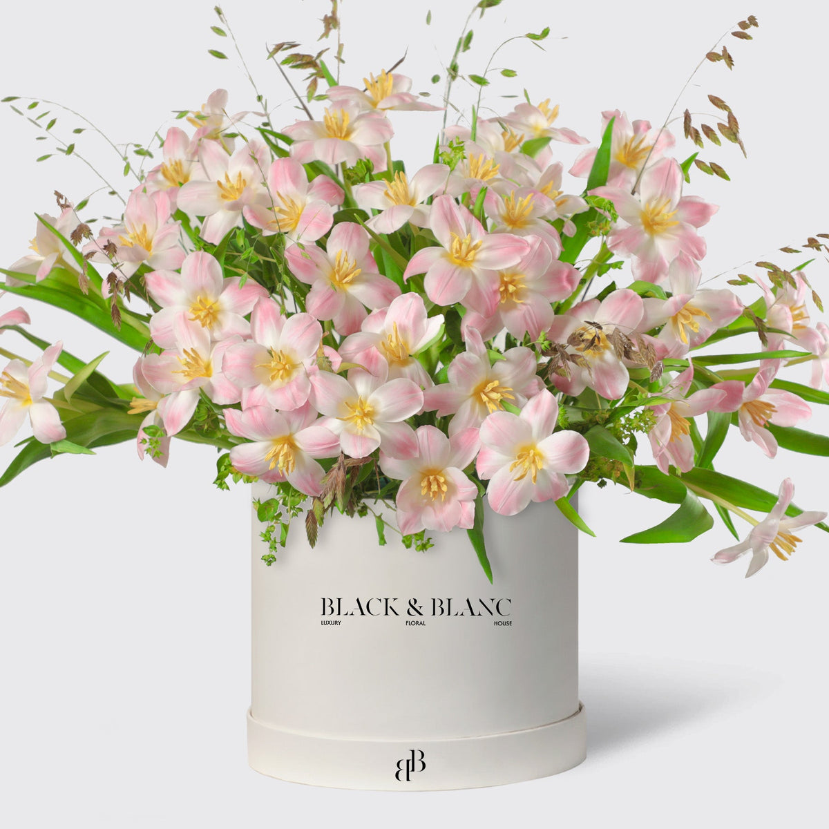 Glowing Pink Tulips in Box - BLACK AND BLANC
