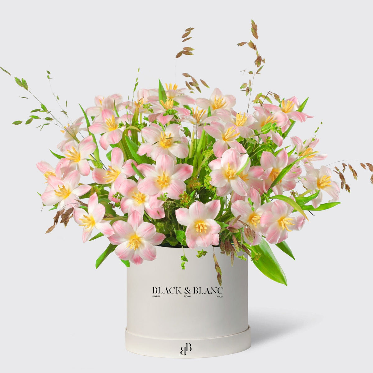 Glowing Pink Tulips in Box - BLACK AND BLANC