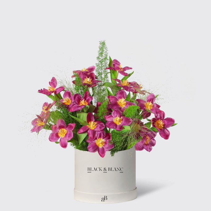 Glowing Purple Tulips in Box - BLACK AND BLANC