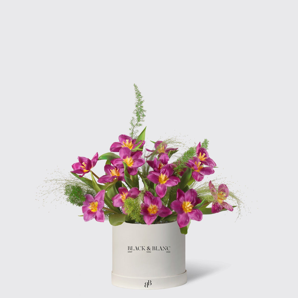 Glowing Purple Tulips in Box - BLACK AND BLANC