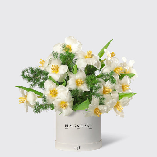 Glowing White Tulips in Box - BLACK AND BLANC