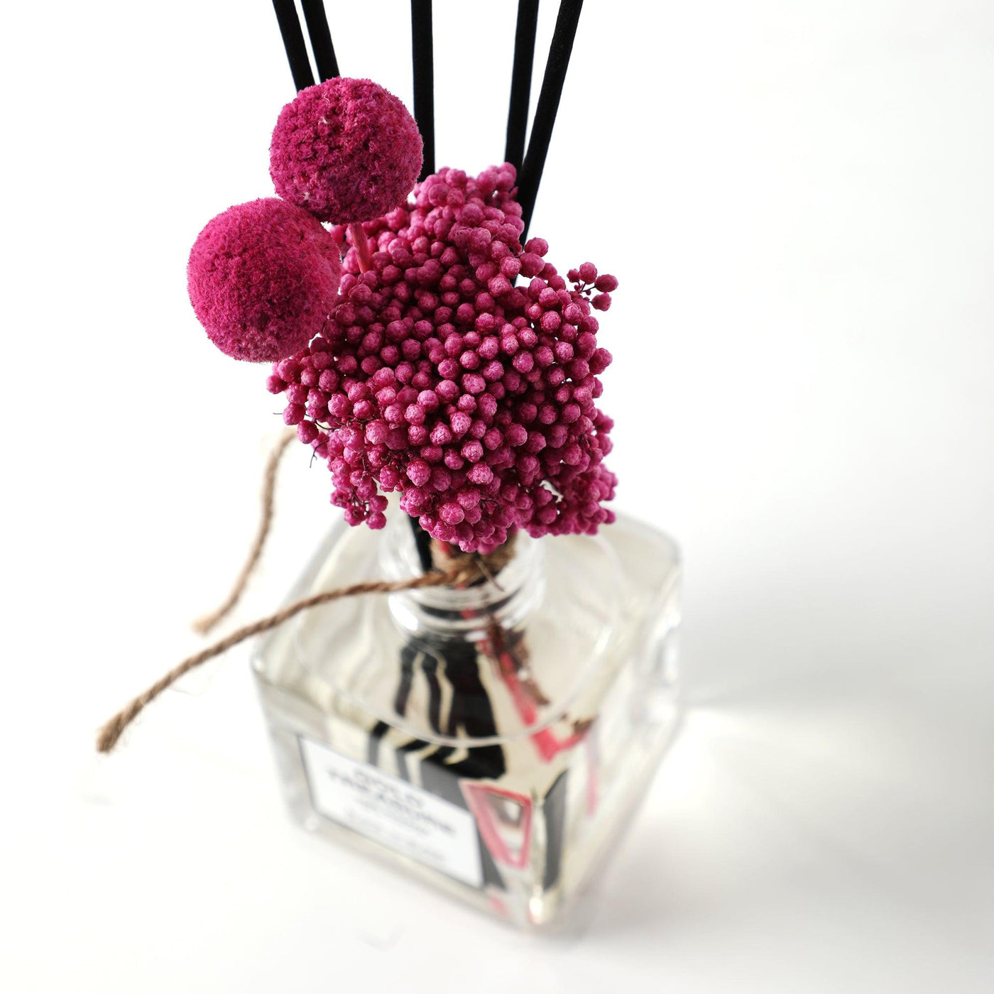 Gold Treasure - BLACK AND BLANC