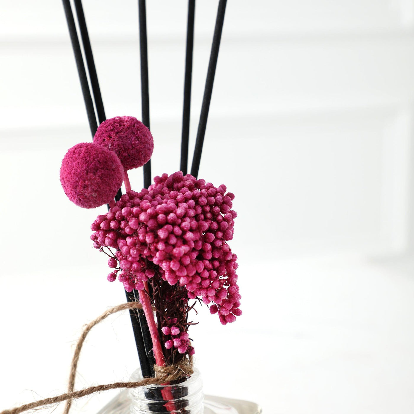 Gold Treasure - BLACK AND BLANC