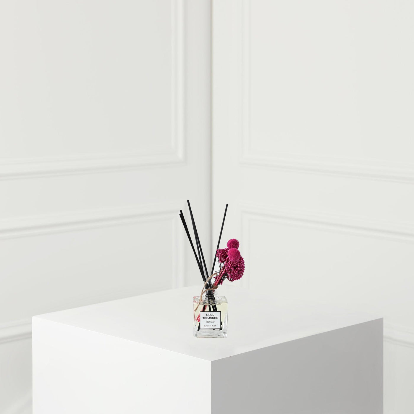 Gold Treasure - BLACK AND BLANC