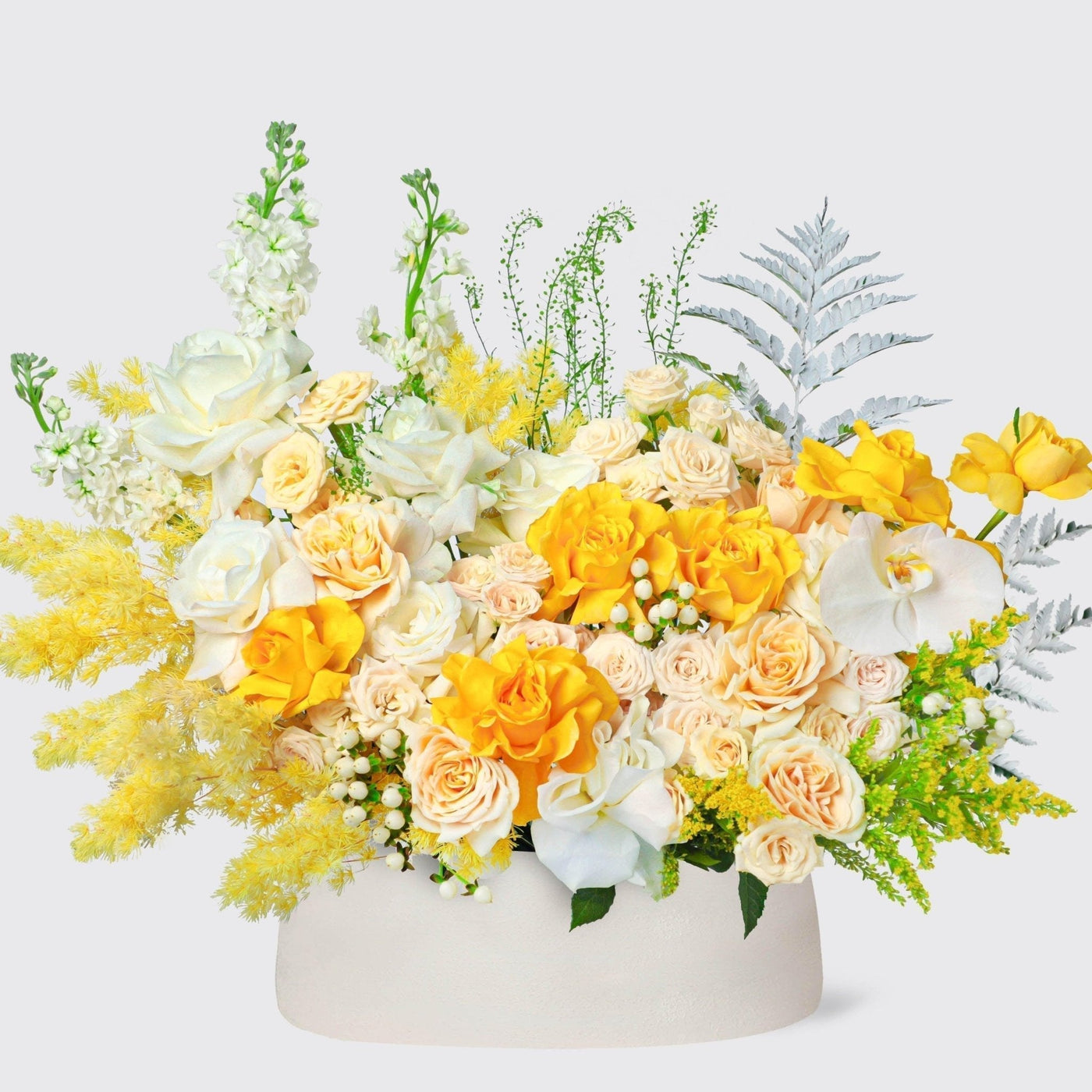 Golden Horizon in Vase - BLACK AND BLANC