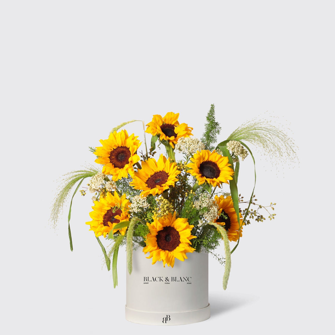 Golden Sunflower in Box - BLACK AND BLANC