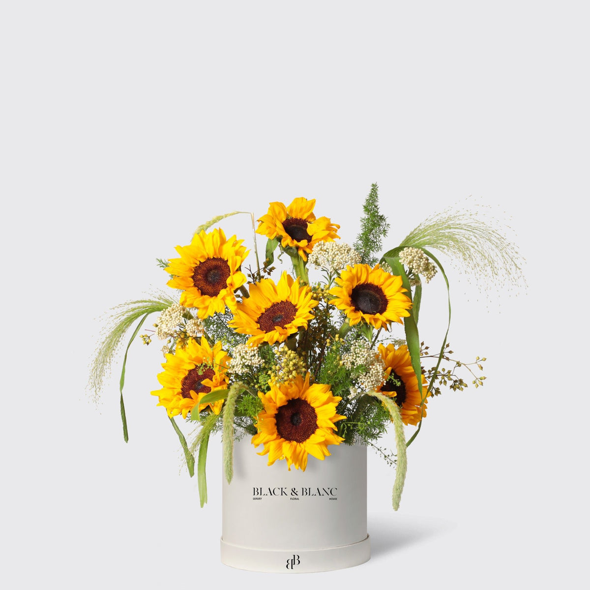 Golden Sunflower in Box - BLACK AND BLANC