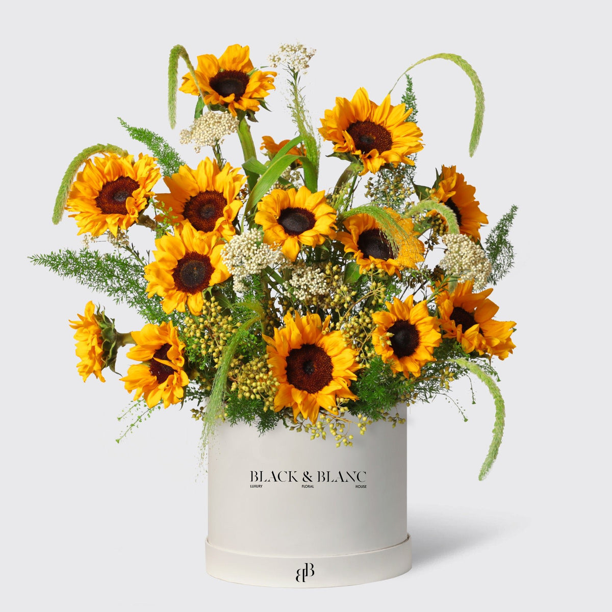 Golden Sunflower in Box - BLACK AND BLANC