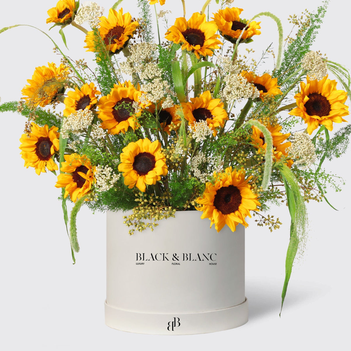 Golden Sunflower in Box - BLACK AND BLANC