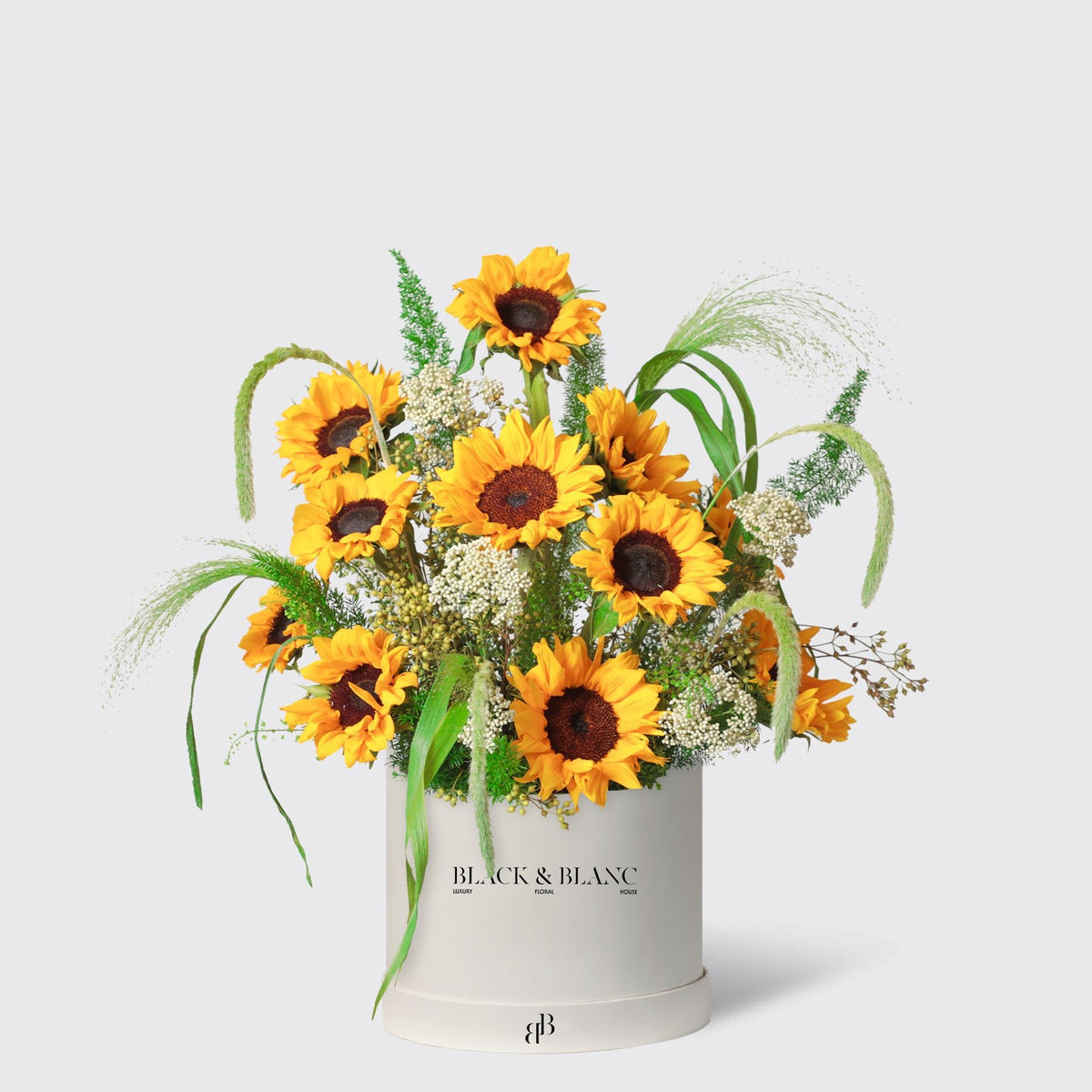 Golden Sunflower in Box - BLACK AND BLANC