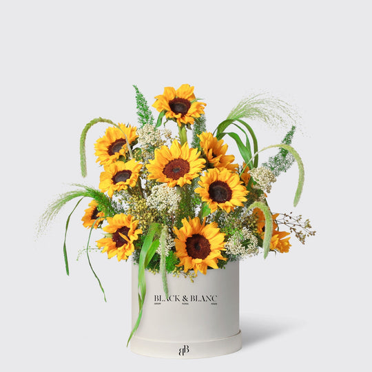 Golden Sunflower in Box - BLACK AND BLANC