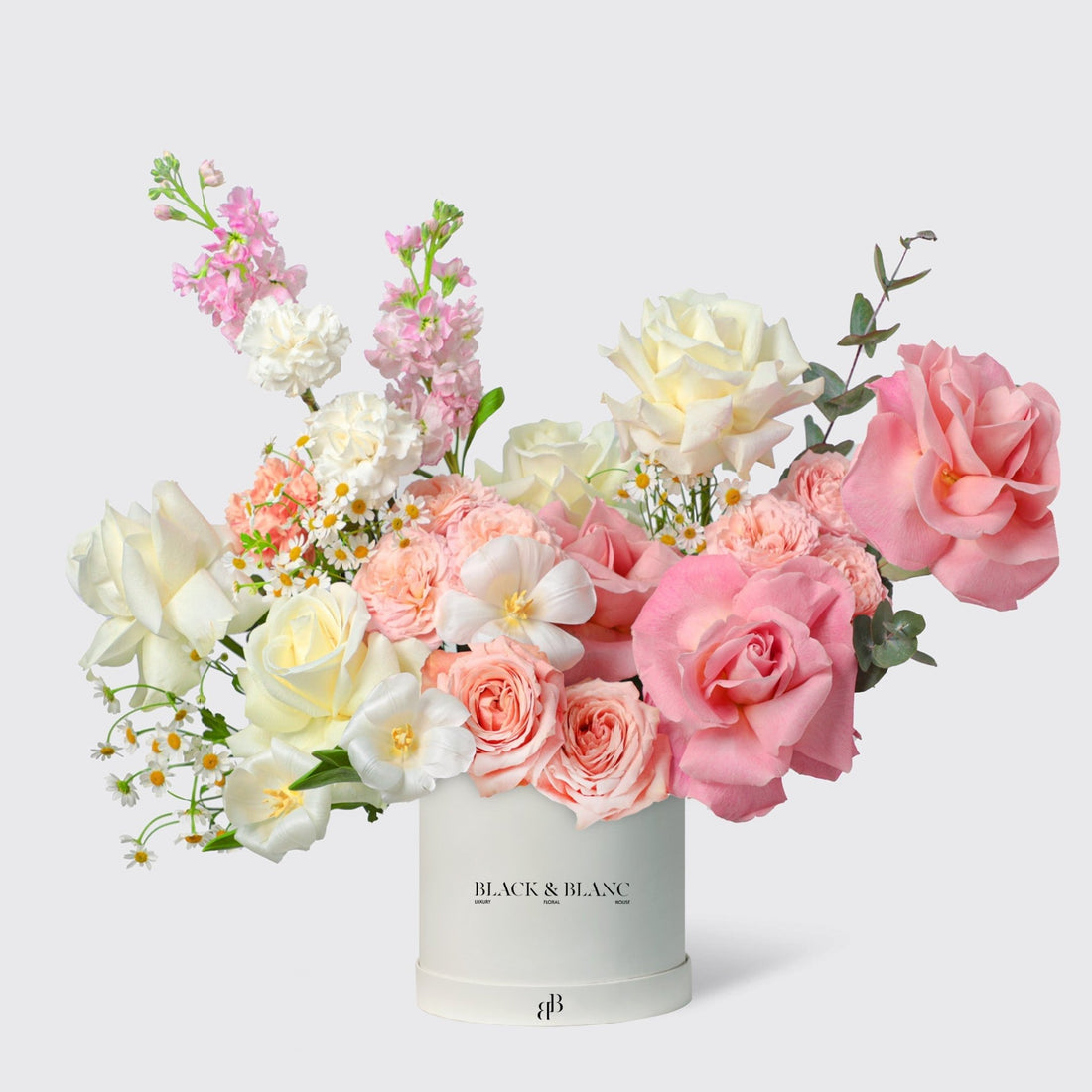 Graceful Bloom in Box - BLACK AND BLANC