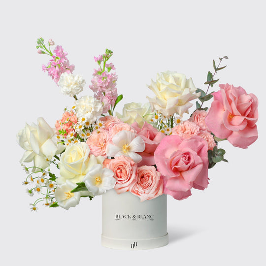 Graceful Bloom in Box - BLACK AND BLANC