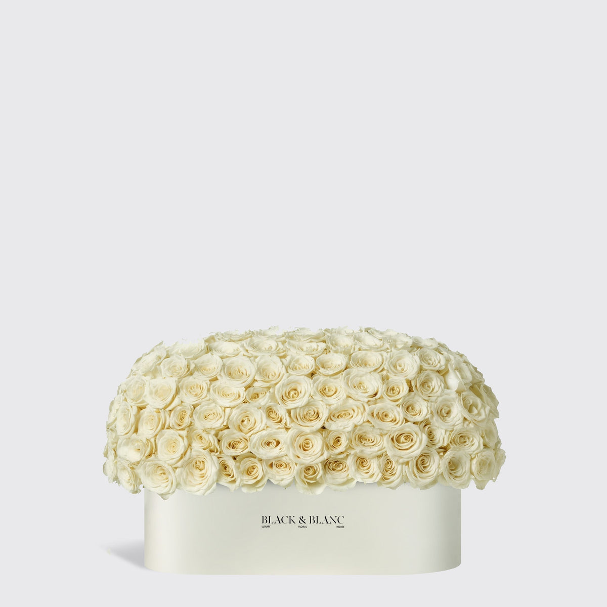 Half-Meter Bliss Dome