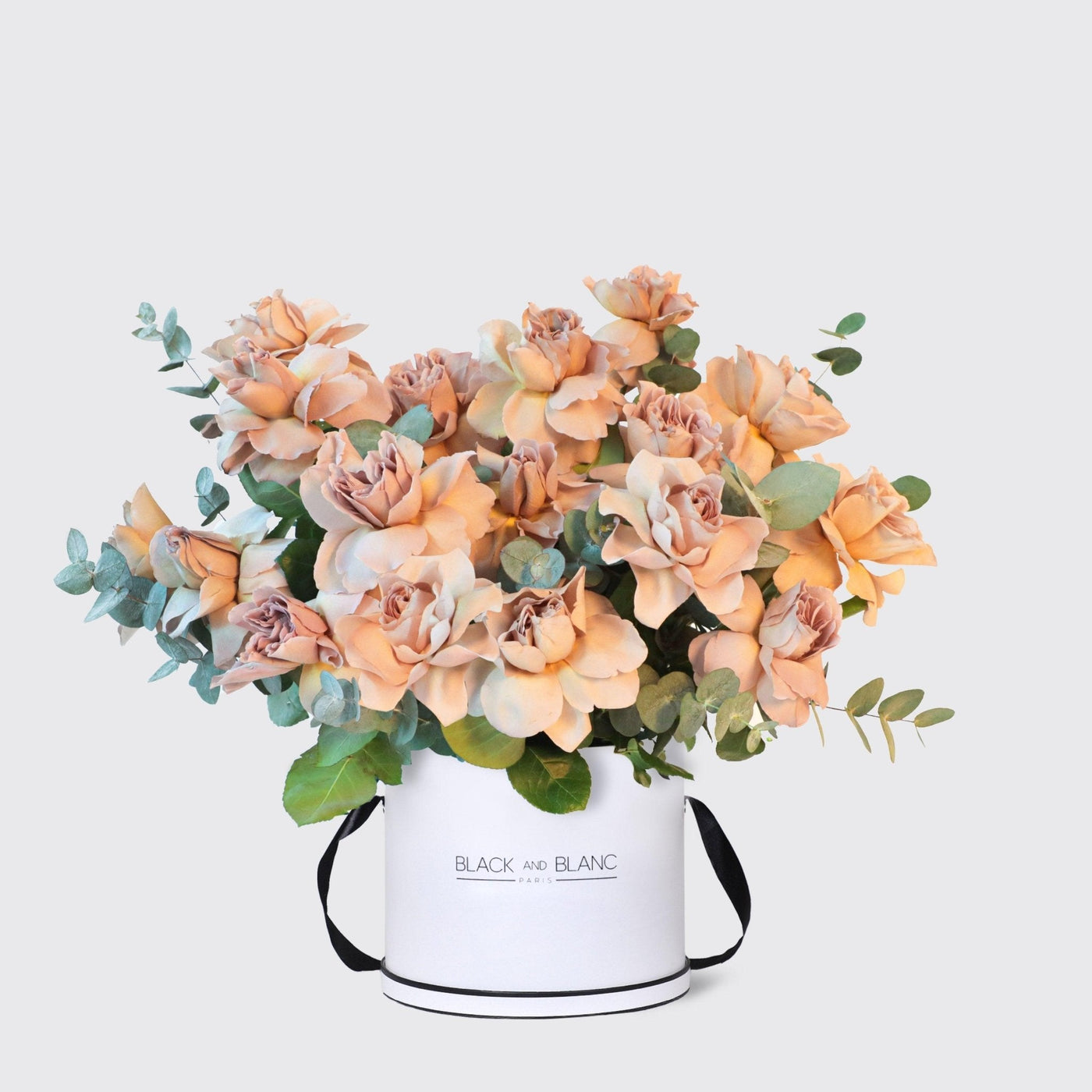 Hazel Glow in Box - BLACK AND BLANC