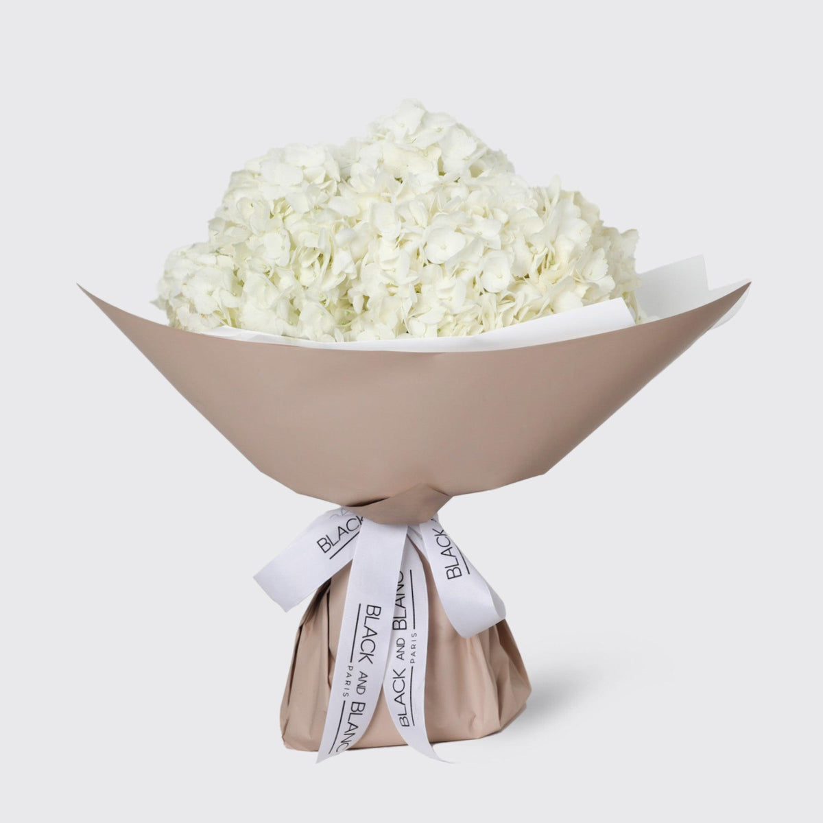 Hydrangea Bouquet - BLACK AND BLANC