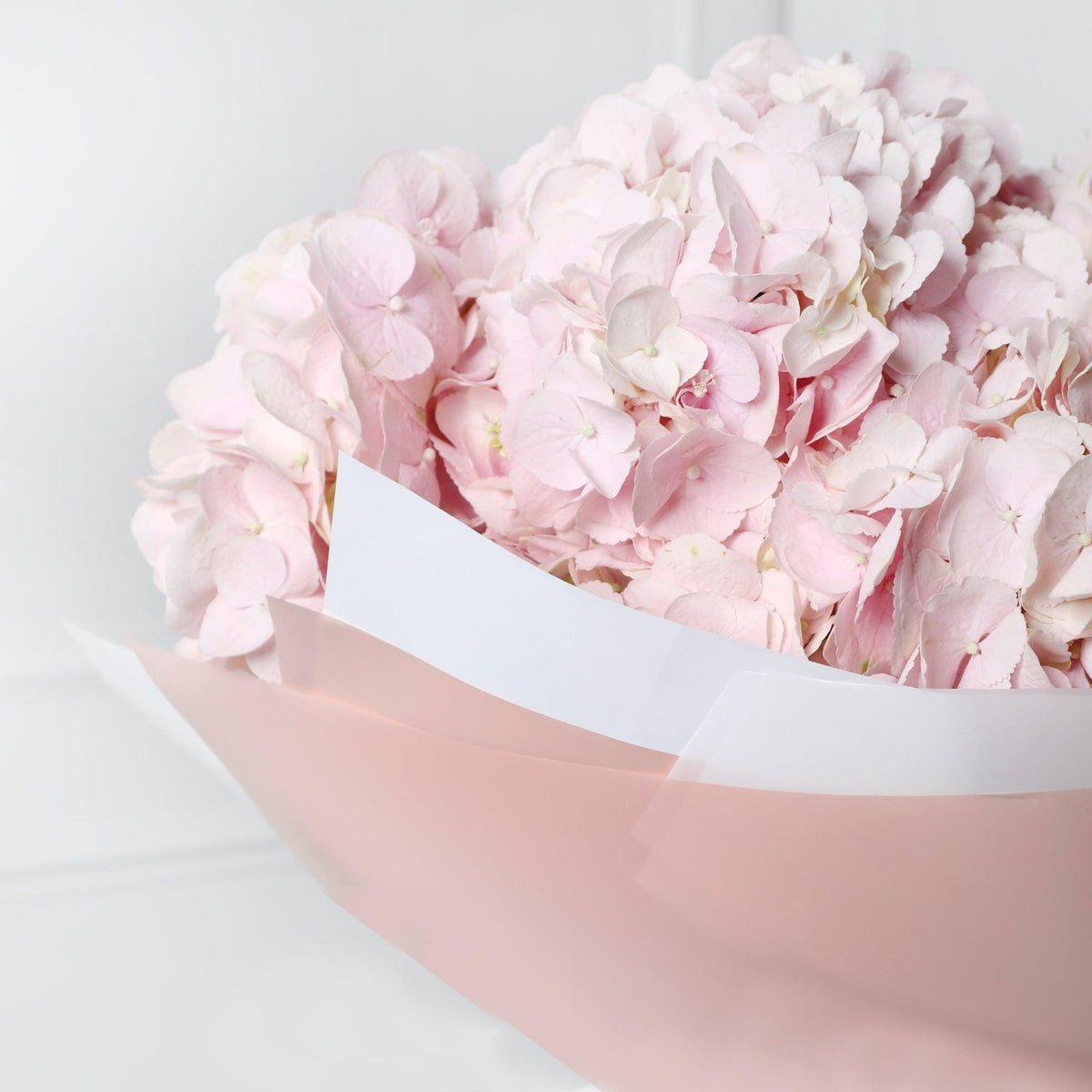 Hydrangea Bouquet - BLACK AND BLANC