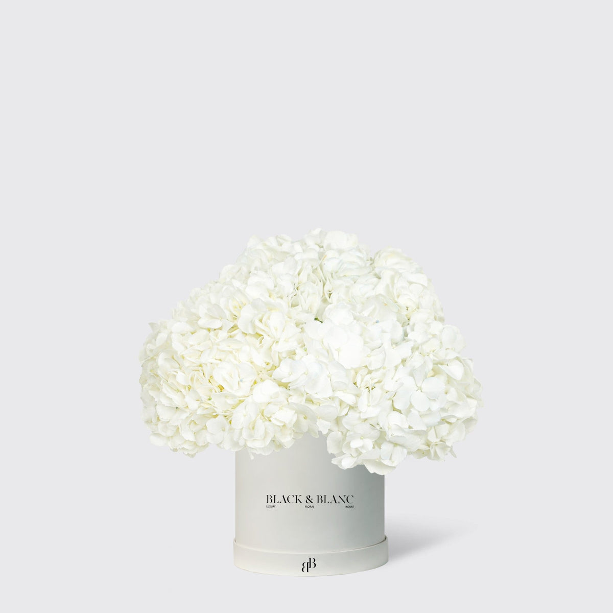Hydrangeas in Box - BLACK AND BLANC