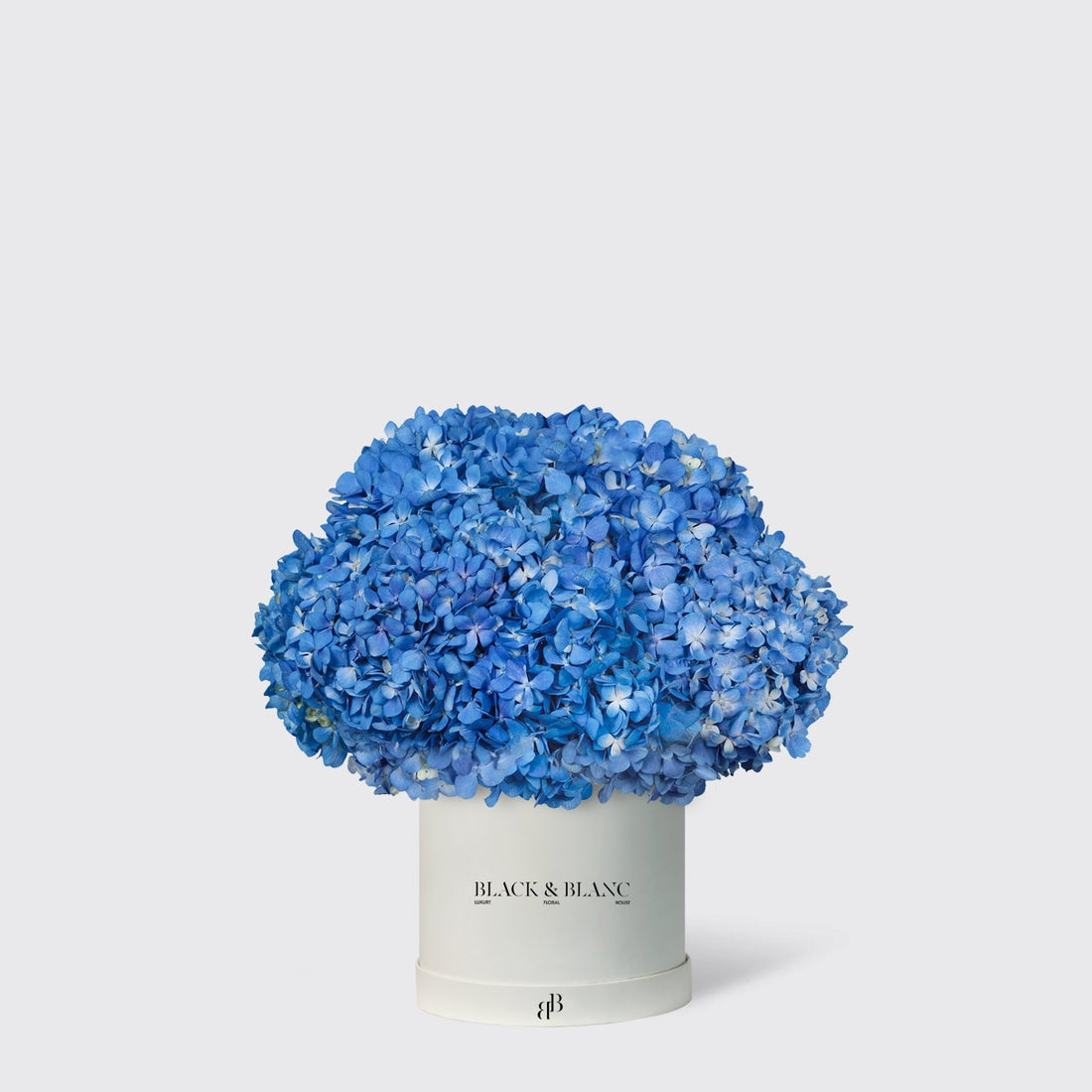 Hydrangeas in Box - BLACK AND BLANC