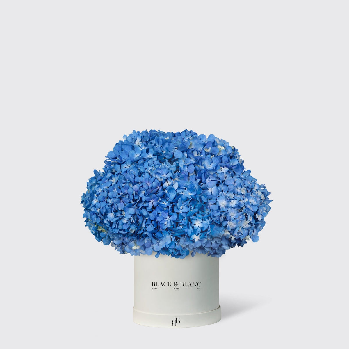 Hydrangeas in Box - BLACK AND BLANC