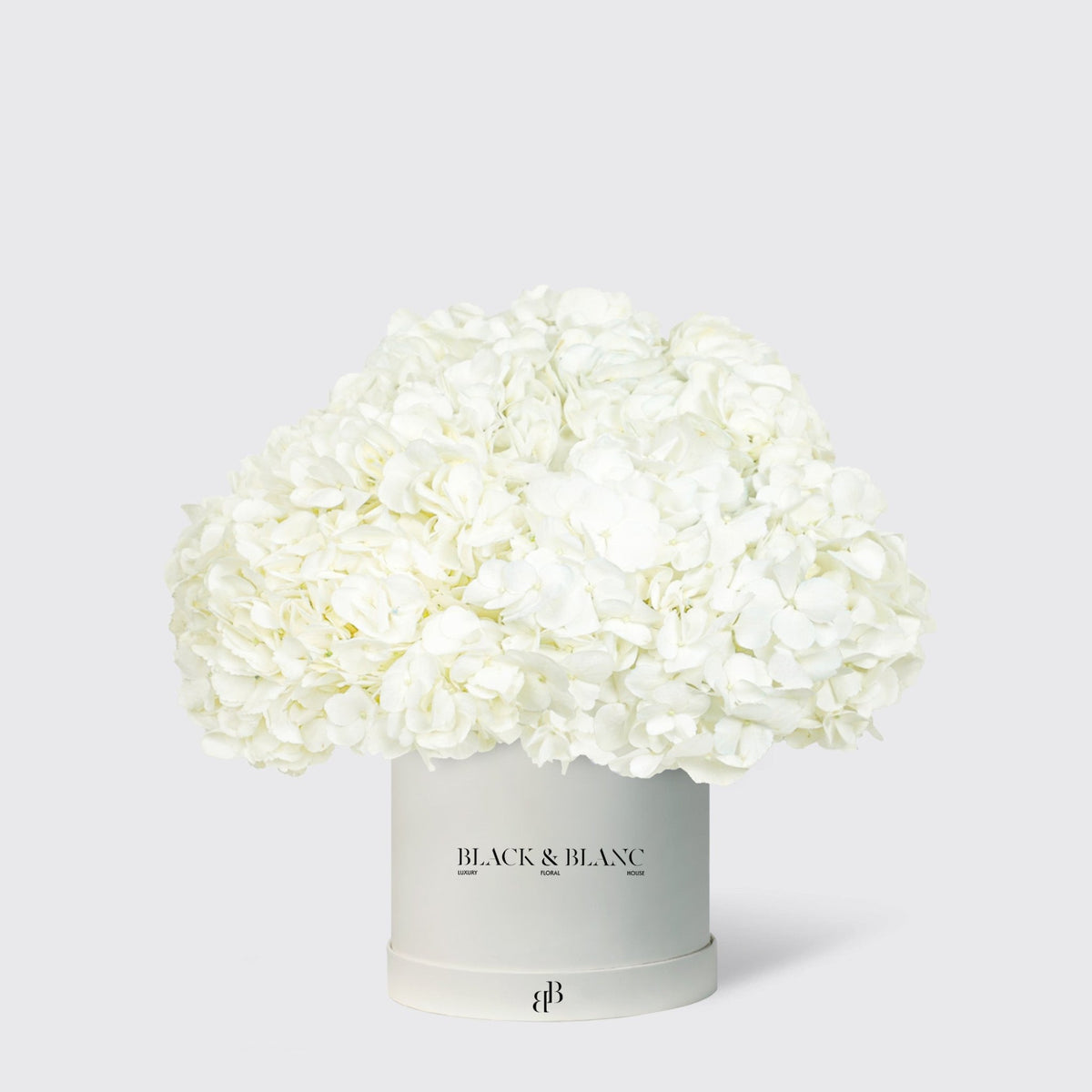 Hydrangeas in Box - BLACK AND BLANC