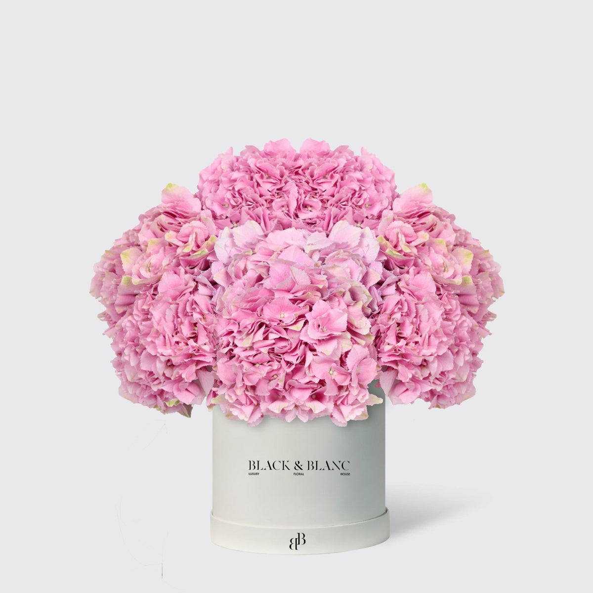 Hydrangeas in Box - BLACK AND BLANC
