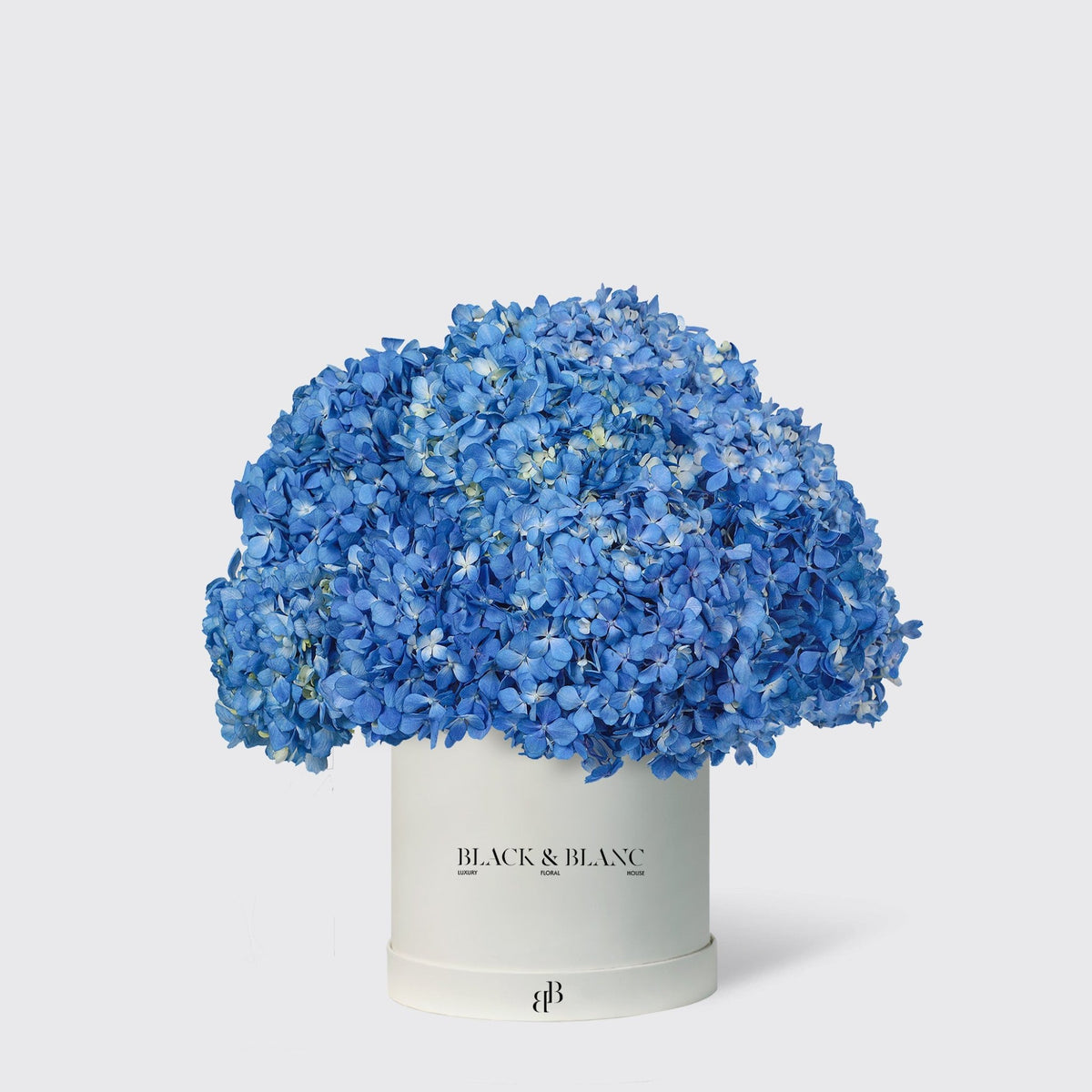 Hydrangeas in Box - BLACK AND BLANC