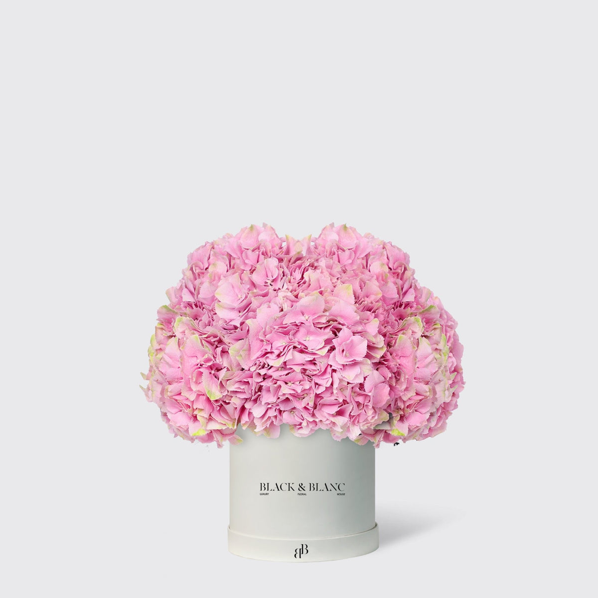 Hydrangeas in Box - BLACK AND BLANC