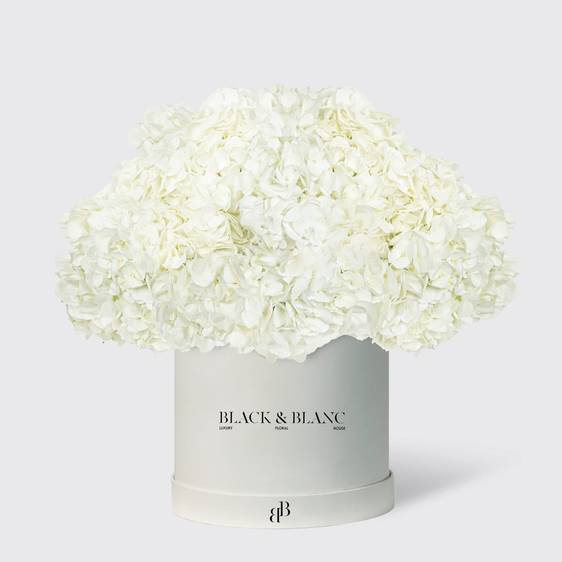 Hydrangeas in Box - BLACK AND BLANC