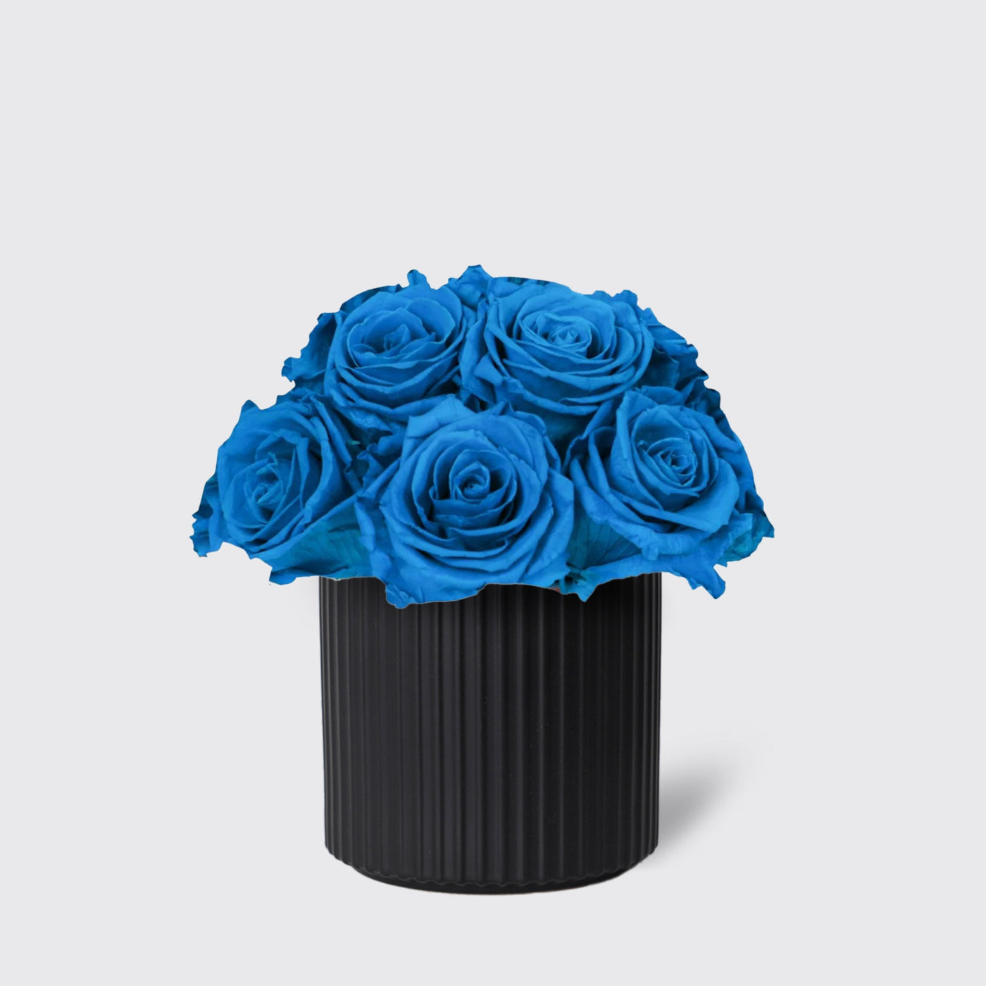 Infinity Aqua Blue in Vase - Infinity Roses - Le Medium / Black - Vase