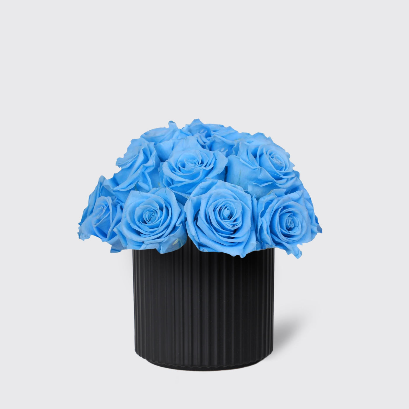 Infinity Baby Blue in Vase - Infinity Roses - Le Medium / Black - Vase