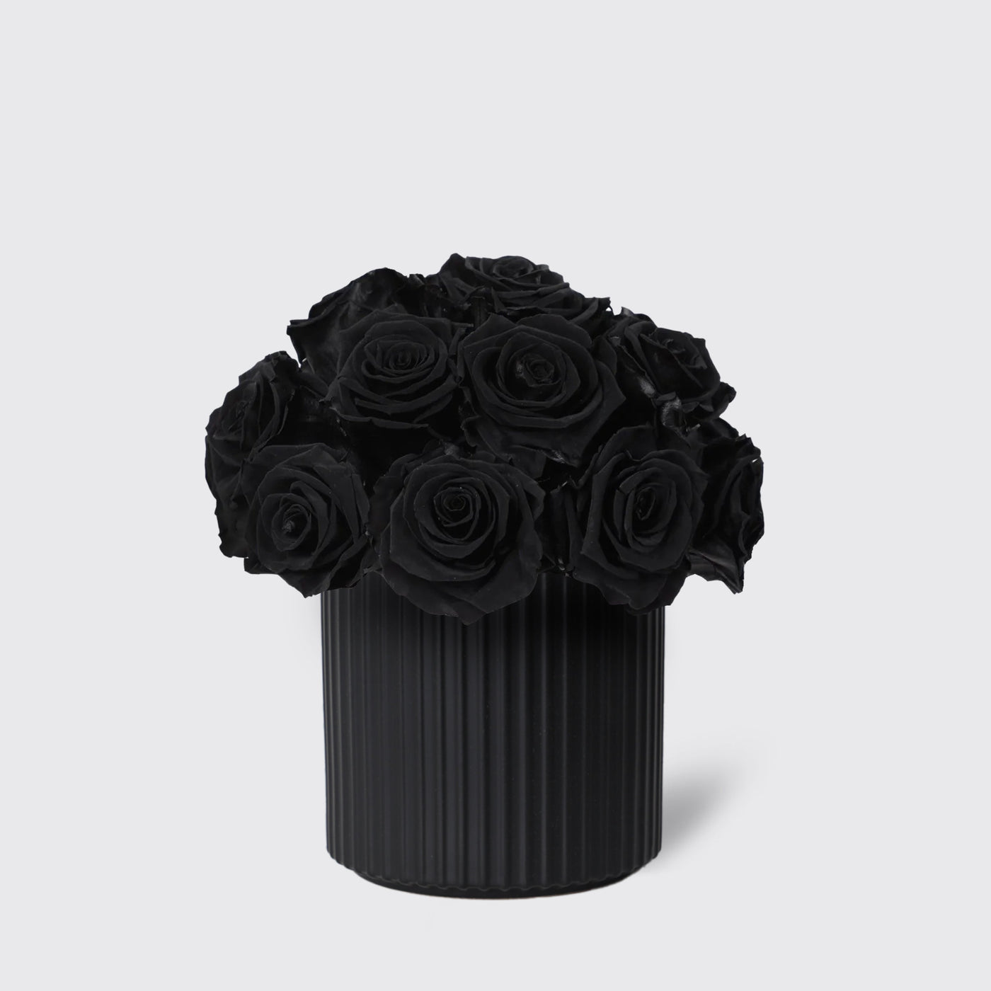 Infinity Black in Vase- Infinity Roses - Le Grand / Black - Vase