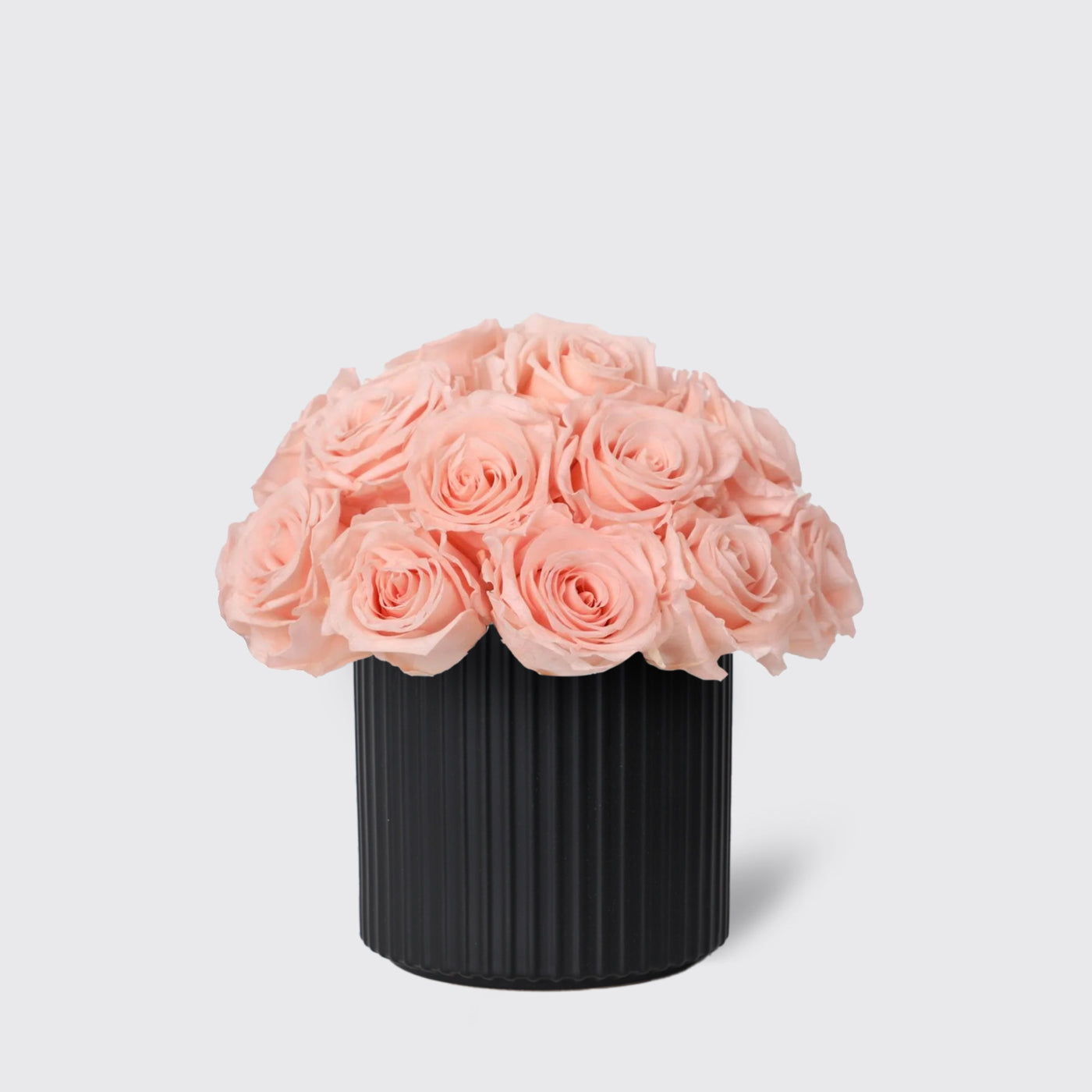 Infinity Blush in Vase - Infinity Roses - Le Medium / Black - Vase