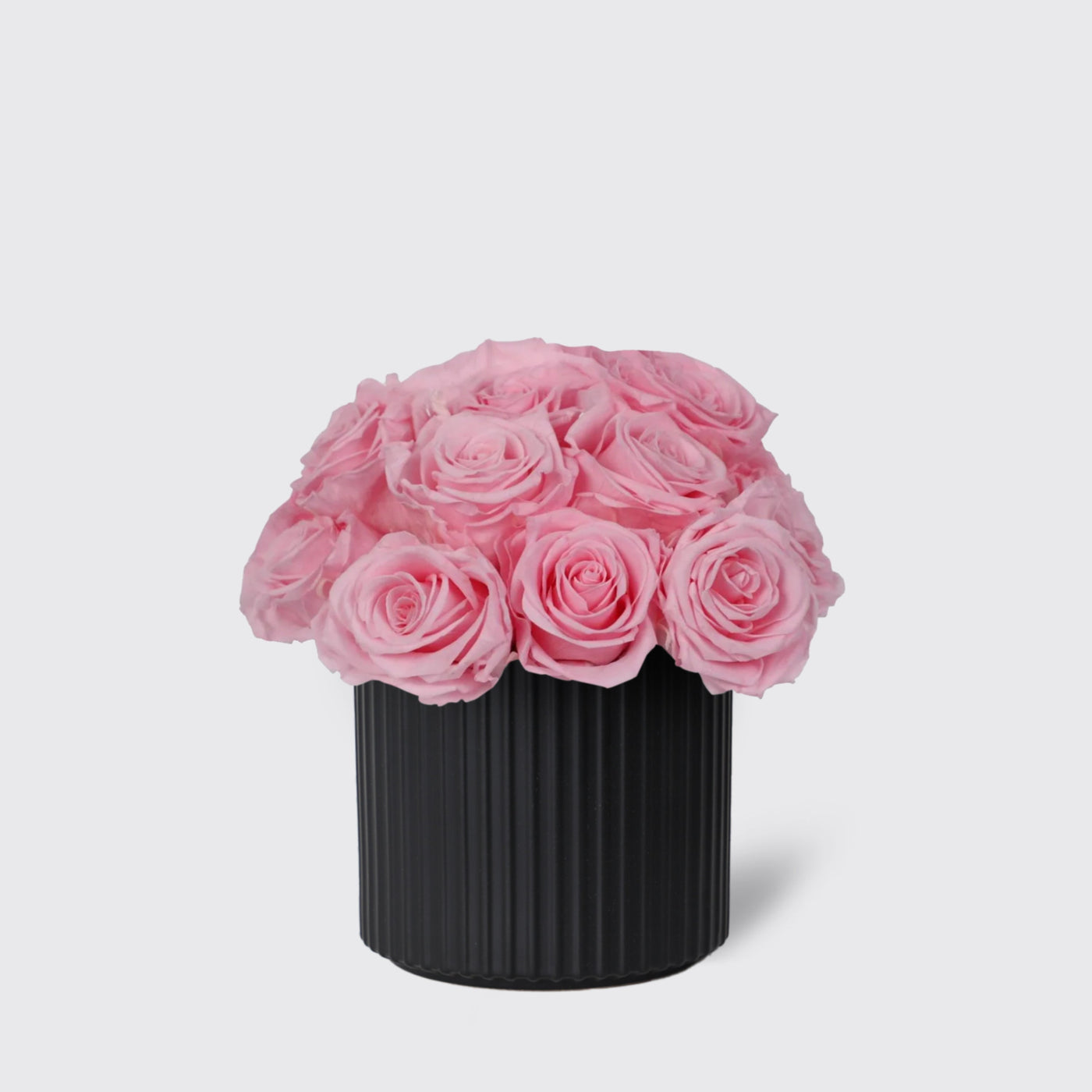 Infinity Bridal Pink in Vase - Infinity Roses - Le Medium / Black - Vase