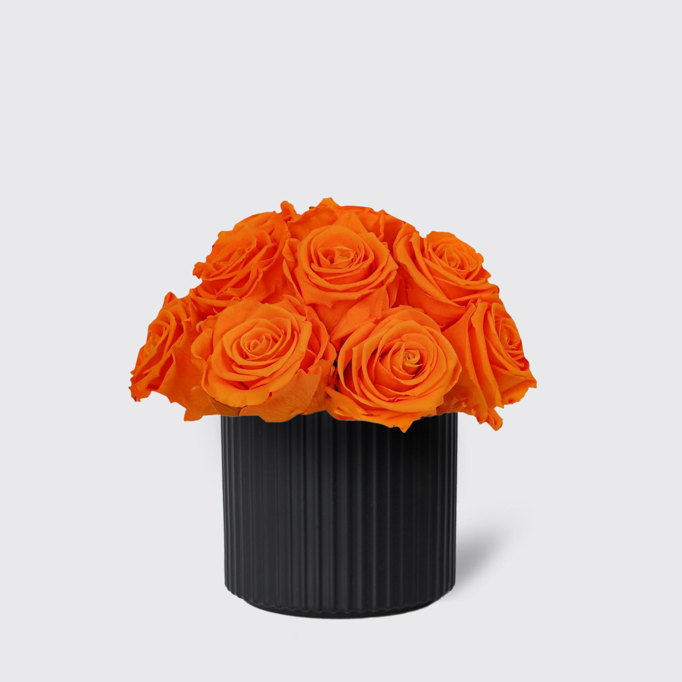 Vibrant orange roses in a sleek black cylindrical vase for Infinity Orange in Vase