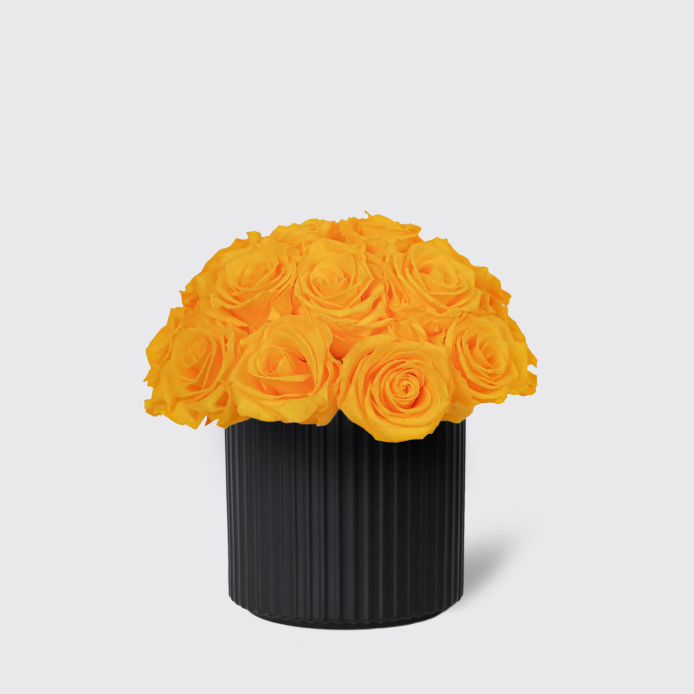 Infinity Sunny Yellow in Vase - Infinity Roses - Le Medium / Black - Vase