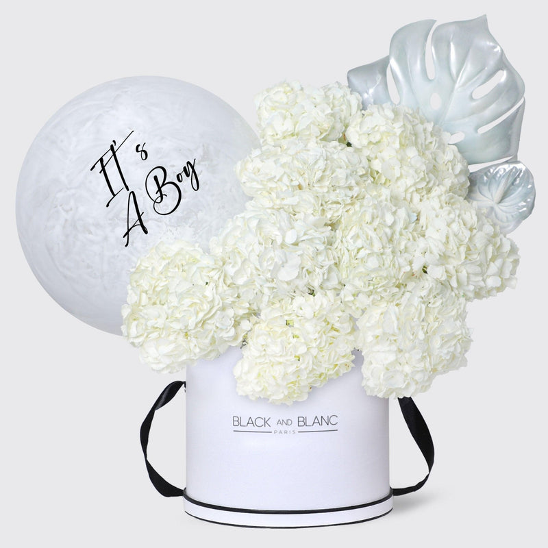 It's a Boy Ivory Cloud in Box - BLACK AND BLANC