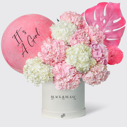 It's a Girl Blush Cloud in Box - BLACK AND BLANC