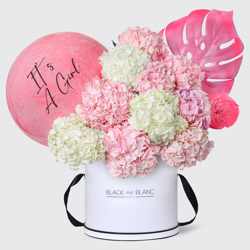 It's a Girl Blush Cloud in Box - BLACK AND BLANC